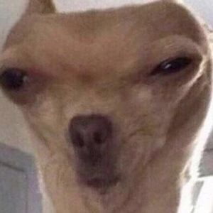 Meet your Posher, Mike